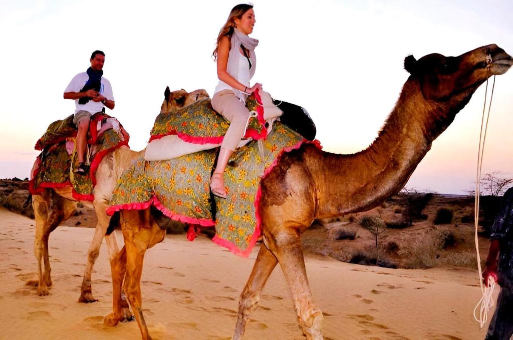 Hosté ubytování Jaisalmer Sand Dunes Luxury Camp And Resort
