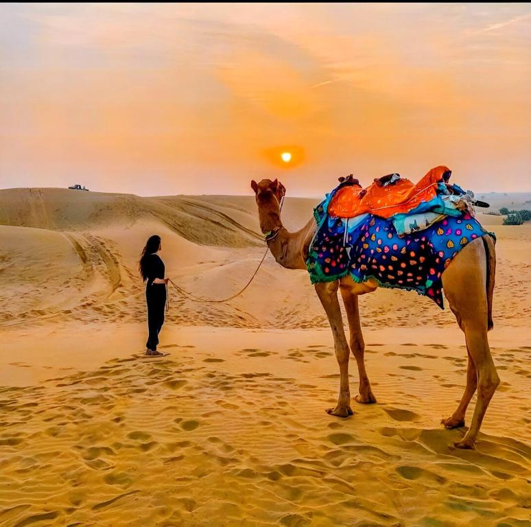 Hosté ubytování Jaisalmer Sand Dunes Luxury Camp And Resort