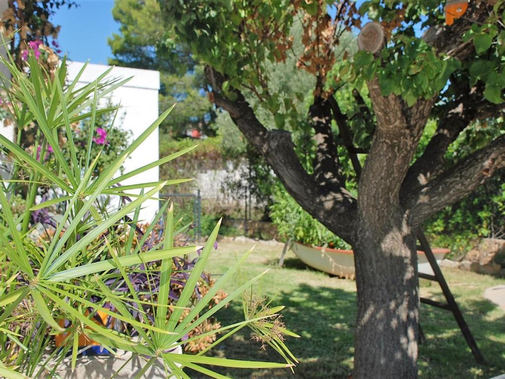 Fotografia z galérie ubytovania Villa en Ametlla de Mar para 8 personas con piscina privada y cerca de la playa - HISP-217-11 v destinácii L'Ametlla de Mar