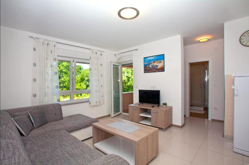 Televízia a/alebo spoločenská miestnosť v ubytovaní Apartments Maslina I