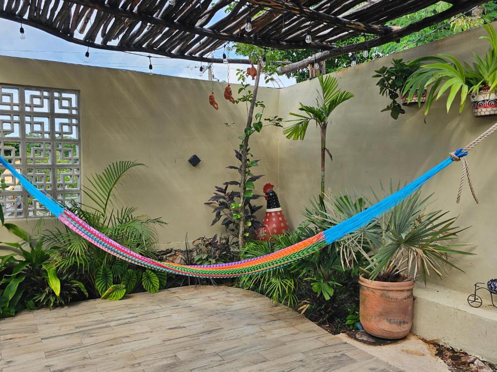 Zahrada ubytování Cabaña Los Gallitos Ecolodge