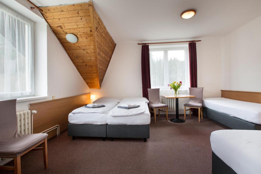 Postel nebo postele na pokoji v ubytování Hotel Harrachov Inn