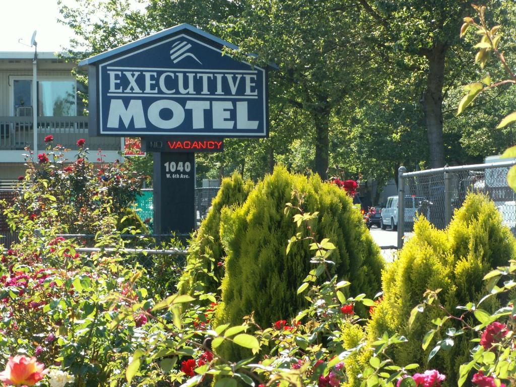 Zahrada ubytování Executive Motel