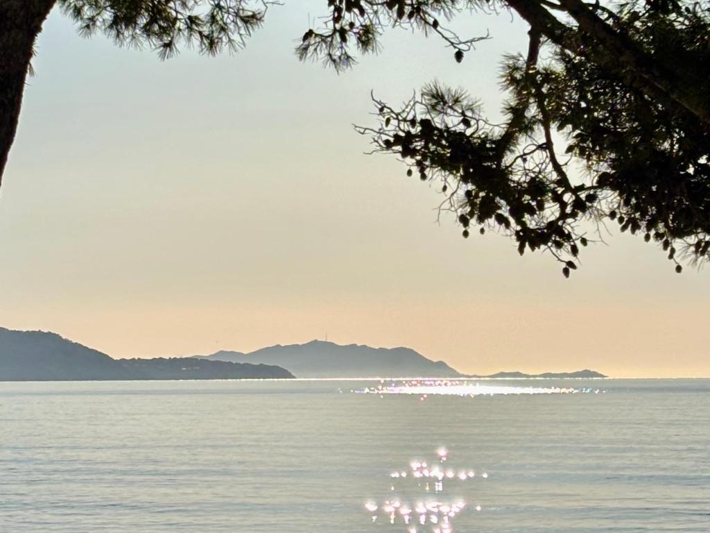 Fotografia z galérie ubytovania La ciotat : Superbe appartement proche du port v destinácii La Ciotat