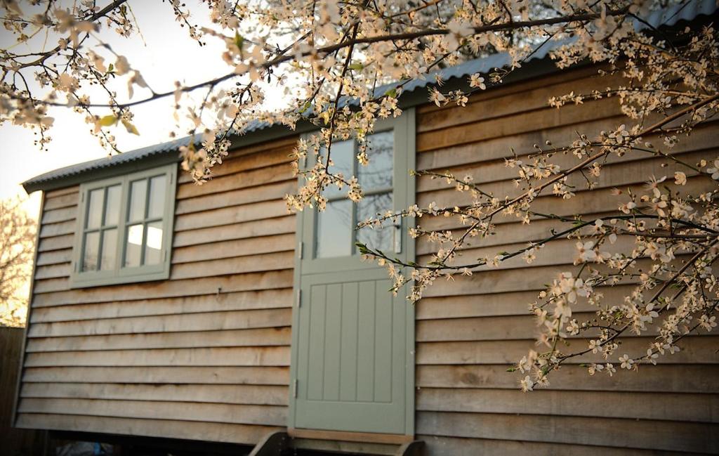 Tòa nhà nơi nhà nghỉ dưỡng tọa lạc