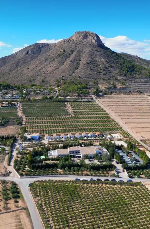 an aerial view of a vineyard in front of a mountain at Bellevall resort, hotel y apartamentos in Aspe