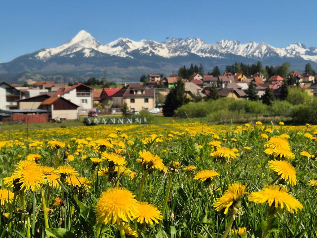 Příroda nedaleko apartmánu