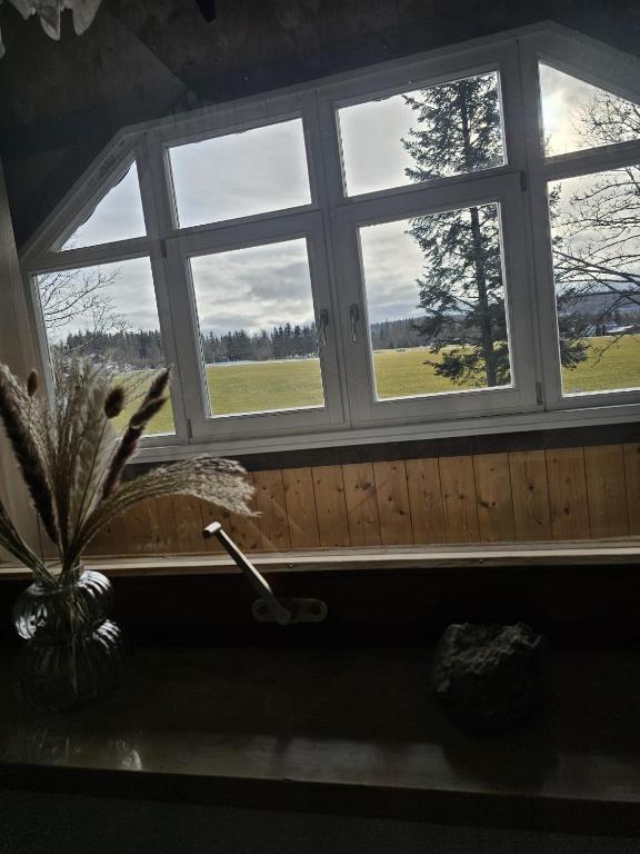 Fotografie z fotogalerie ubytování Marktredwitzer Haus v destinaci Waldershof