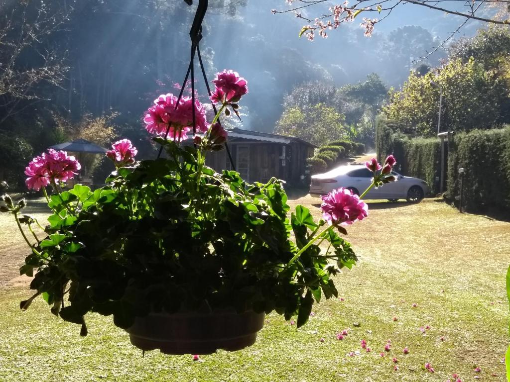 Zahrada ubytování Vale do Piemonte - Chalé com hidromassagem -
