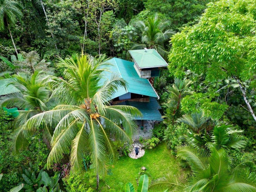 a green house in the middle of a forest at Casa Aire Libre in Puerto Jiménez