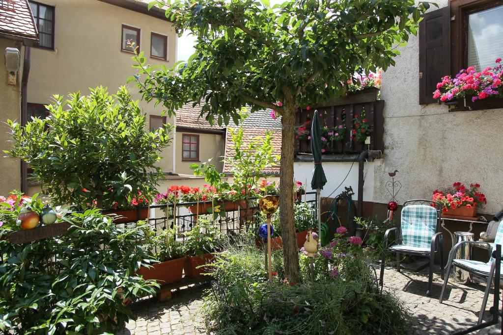 Zahrada ubytování Haus Jutta