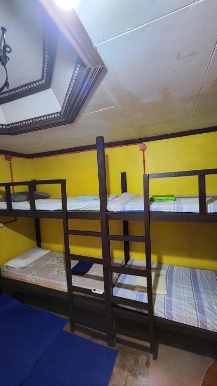 Postel nebo postele na pokoji v ubytování Screaming Gecko Hostel
