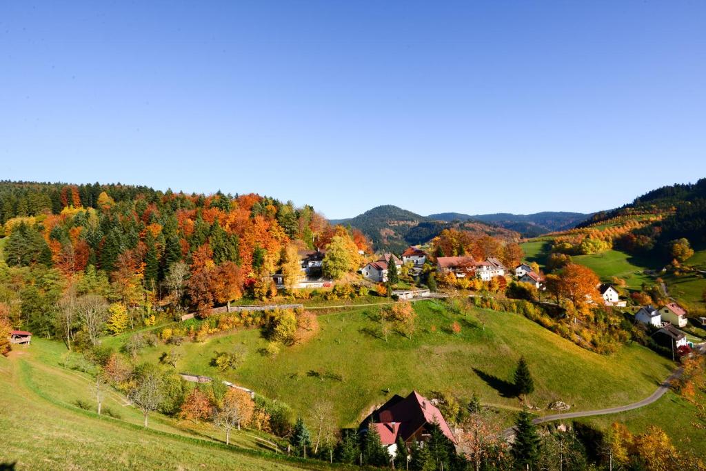 una vista aérea de una pequeña ciudad en una colina en Café Pension Waldfrieden, en Bad Peterstal-Griesbach
