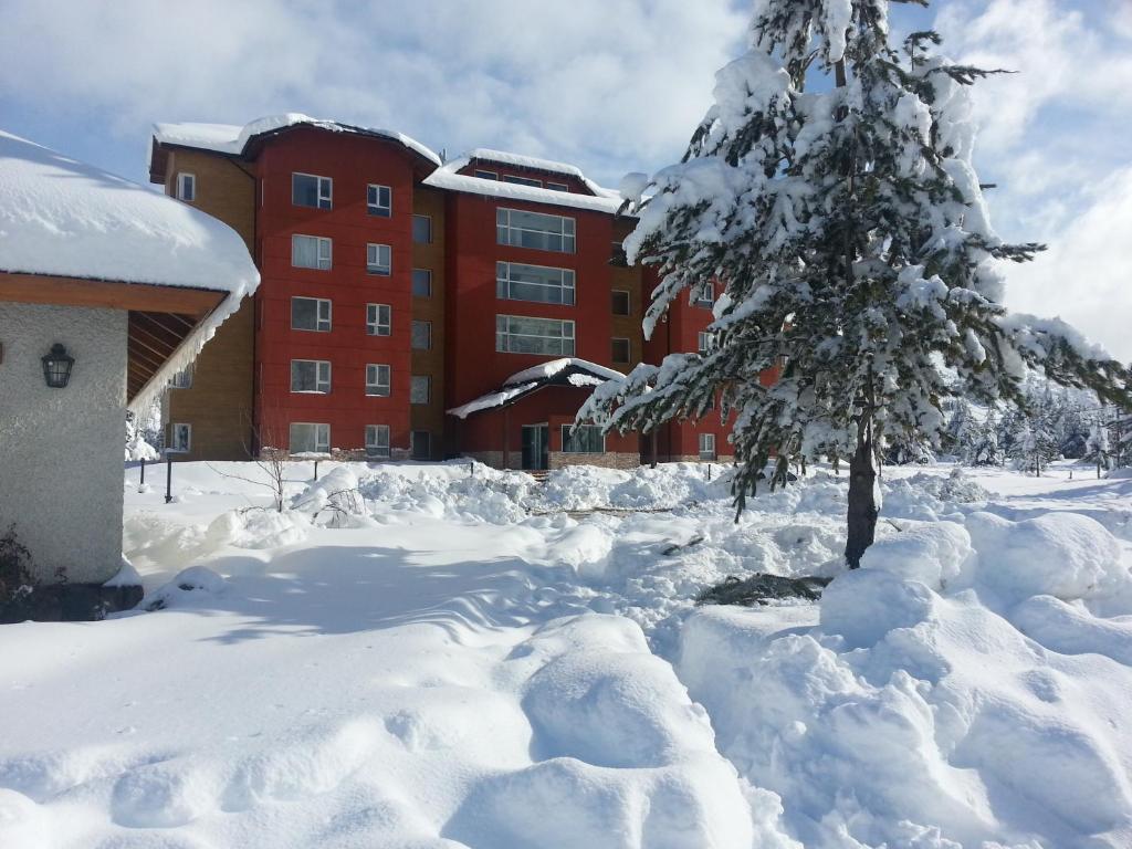 uma árvore coberta de neve em frente a um edifício em Village Condo em San Carlos de Bariloche
