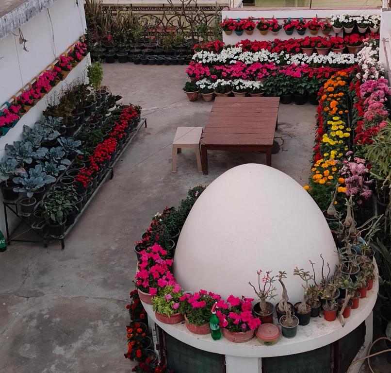 Zahrada ubytování Veena Villa Luxury Suite Ayodhya - 2km from Ram Mandir