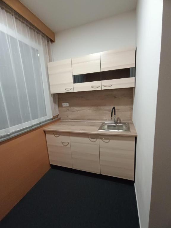 Kuchyň nebo kuchyňský kout v ubytování Hotel a ubytovna Zimní stadion Slaný