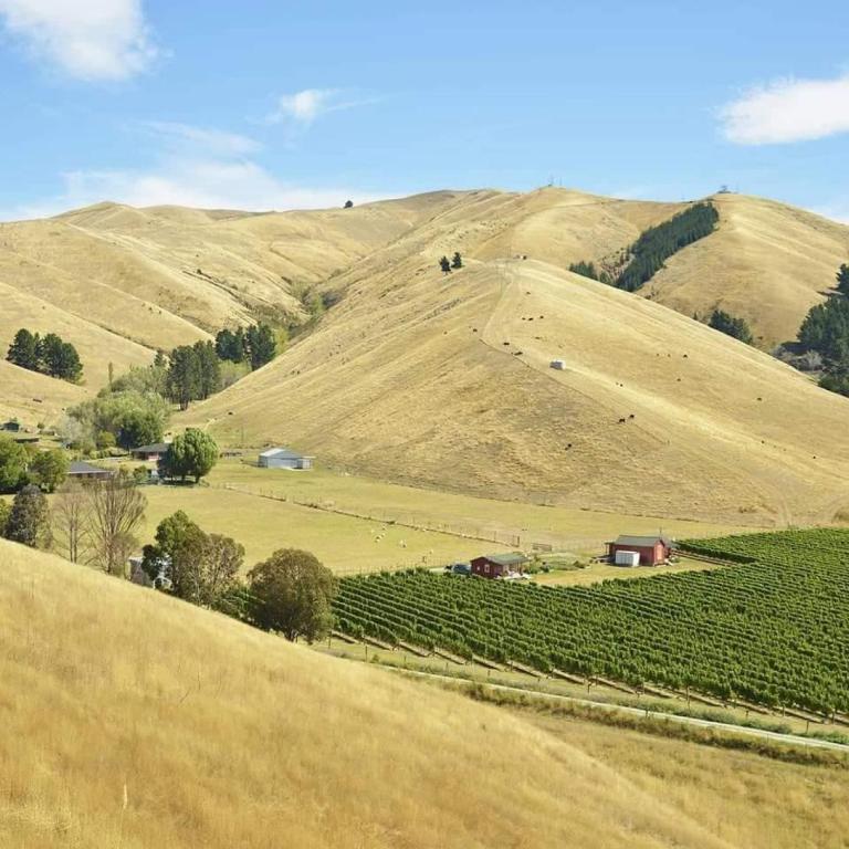 Mountainview Villa Suite in an 6-bedroom Villa - Resim 20