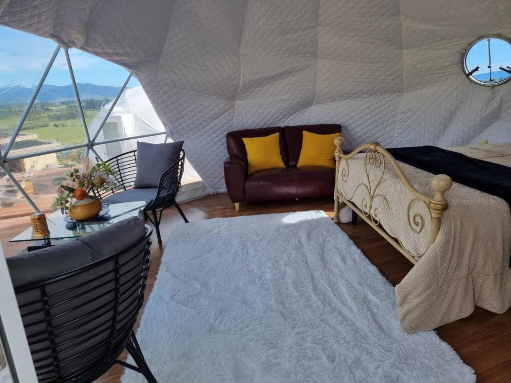 Entire Poolside Accommodation - Resim 41