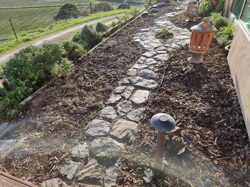 Entire Poolside Accommodation - Resim 20