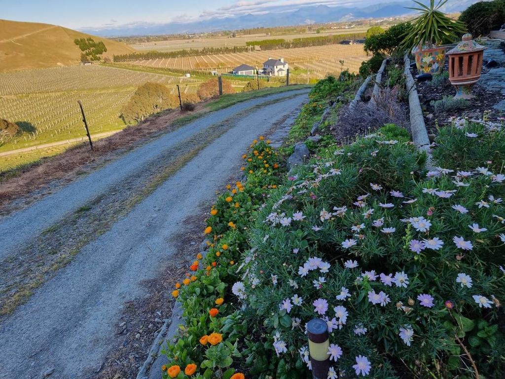 Entire Poolside Accommodation - Resim 22