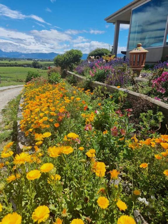 Entire Poolside Accommodation - Resim 25