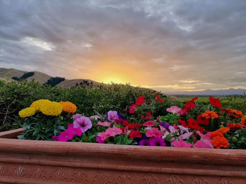 Entire Poolside Accommodation - Resim 19