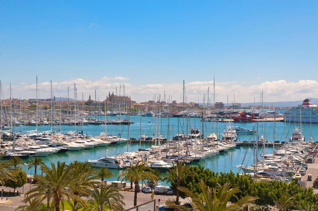 
Red Level Junior Suite with Sea and Cathedral View
