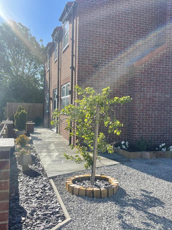 a small tree in a pot in front of a brick building at Newton house in Burton Fleming