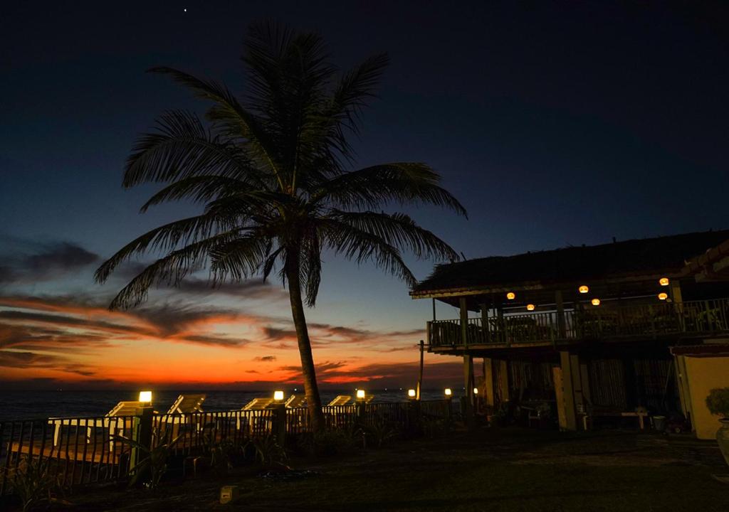 una palma davanti a una casa con un tramonto di Manta Beach Resort & Ayurvedic Wellness Centre a Galle
