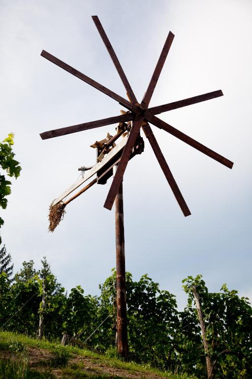Fotografie z fotogalerie ubytování Weingut spitzyPeitler v destinaci Leutschach