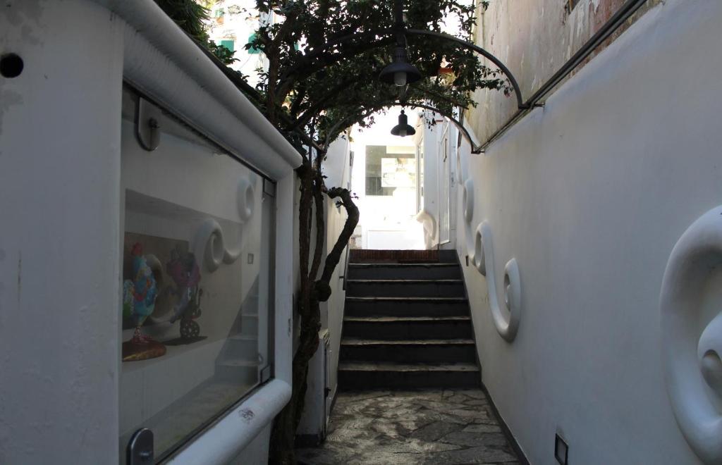 Fotografie z fotogalerie ubytování Villa Apollo B&B v Capri