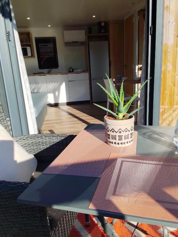 Kuchyňa alebo kuchynka v ubytovaní Camping les lodges du lagon