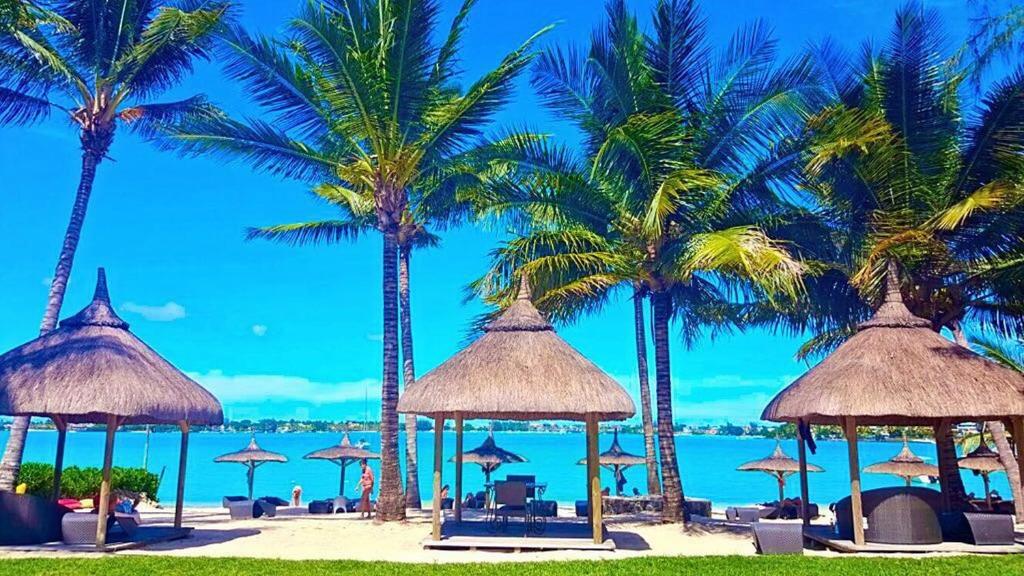 uma praia com palmeiras, cadeiras e guarda-sóis em Ocean Villas Apart Hotel em Grand Baie