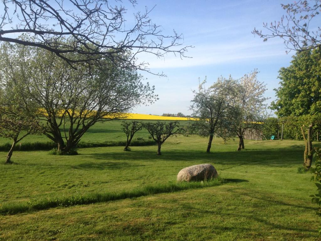 Zahrada ubytování Arnhög Farm