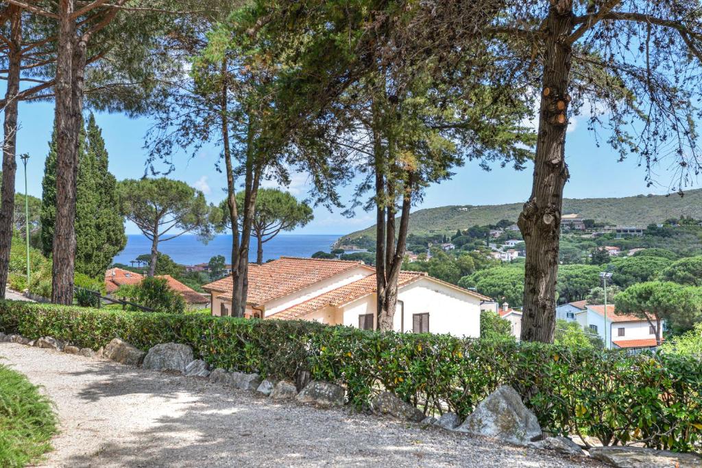 a row of trees with a house in the background at Residence Le Mimose in Procchio
