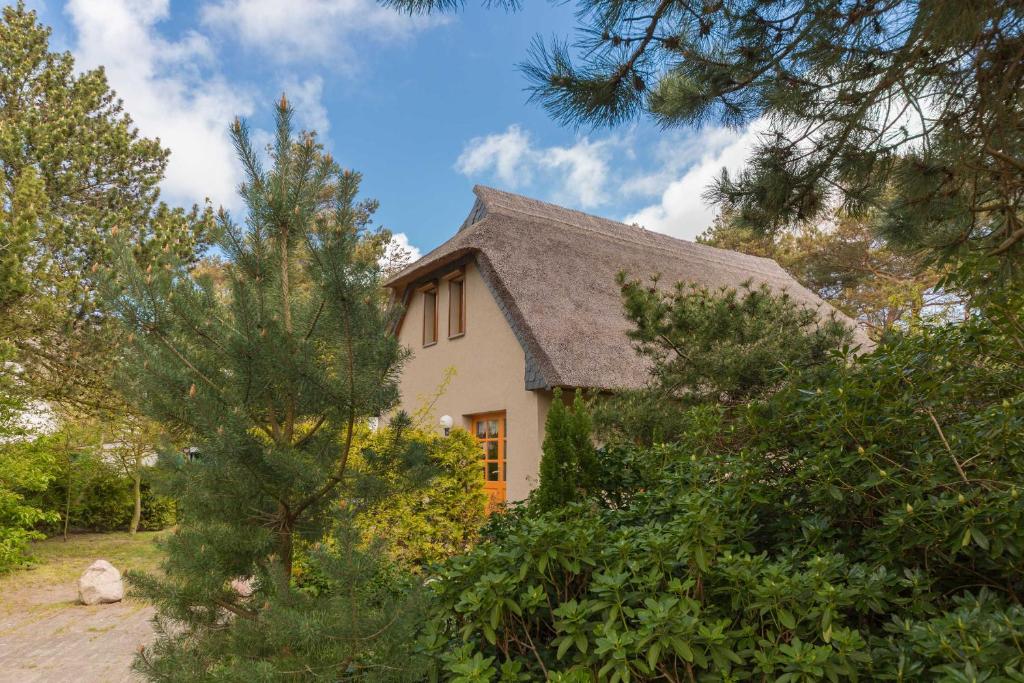 ein Haus mit einem grauen Dach in den Bäumen in der Unterkunft Doppelhaushälfte Wustrow in Wustrow