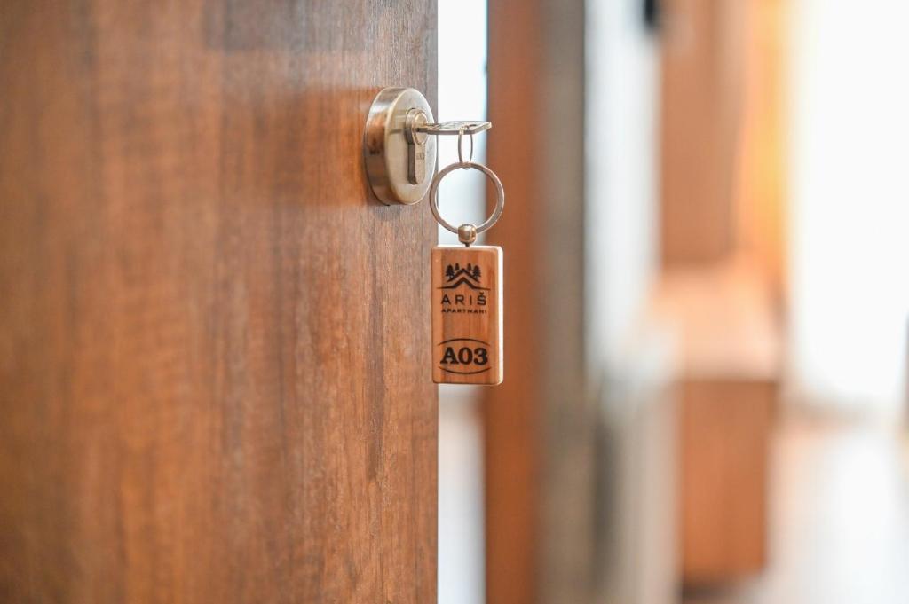 Zeleni vrh A03 - Resim 12