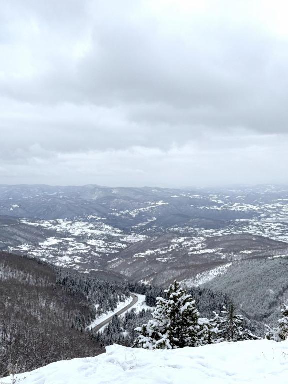 Zeleni vrh A03 - Resim 13