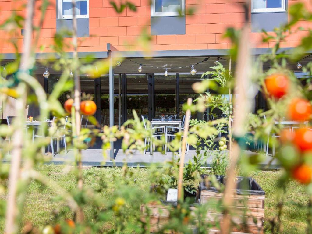 Zahrada ubytování ibis Lyon Est Chaponnay