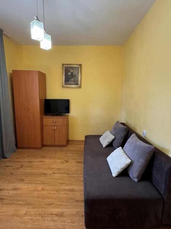 Televízia a/alebo spoločenská miestnosť v ubytovaní Dom wczasowy Przy Skałkach