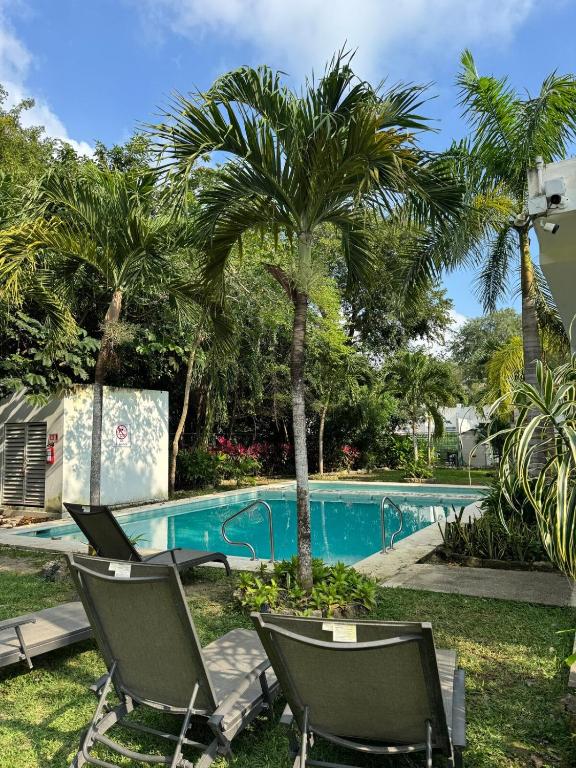 a swimming pool with two chairs and a palm tree at Casa Puerto Paraíso in Puerto Morelos