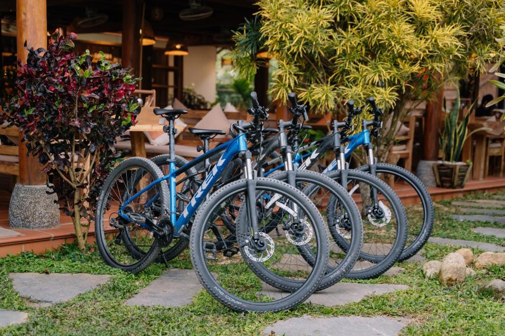 Đạp xe trong hoặc quanh Anans Home Ha Giang - Tours &amp; Motorbike Rental