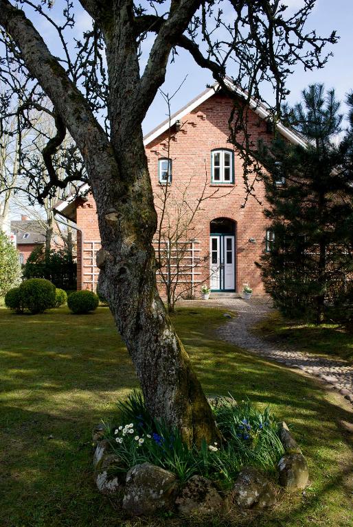 a tree in front of a brick house at Zollhaus 1 in Keitum