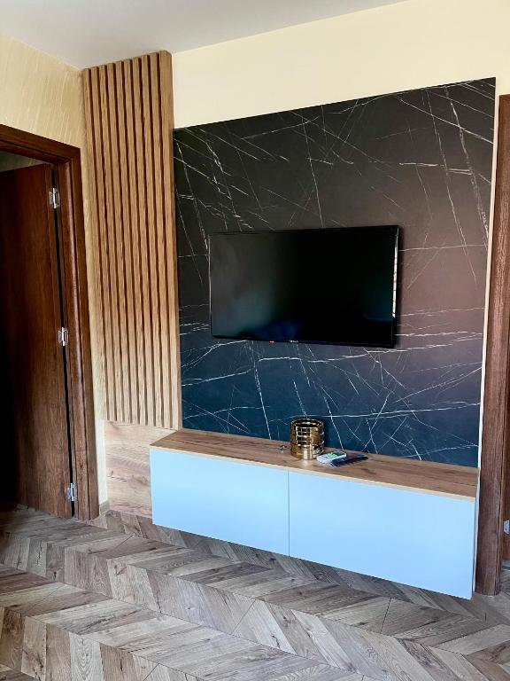 TV a/nebo společenská místnost v ubytování Pink Apartmani