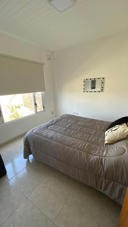 Neurocasitas