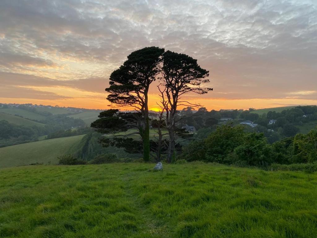 a tree in a field with the sunset in the background at Ramble & Rye - The Nest in Talland
