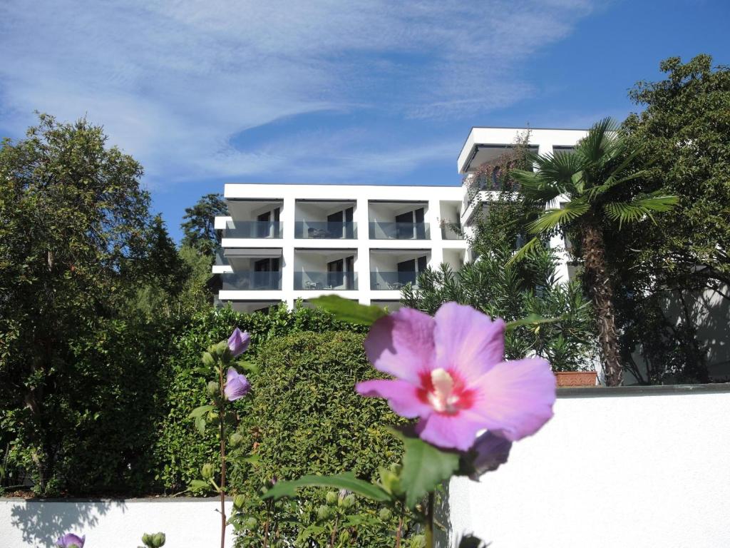 a pink flower in front of a white building at Fiore Rosa by Fewotessin in Ascona
