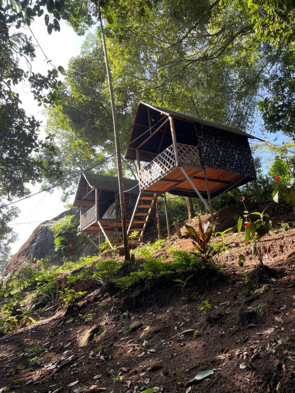Zahrada ubytování Camptop Munnar