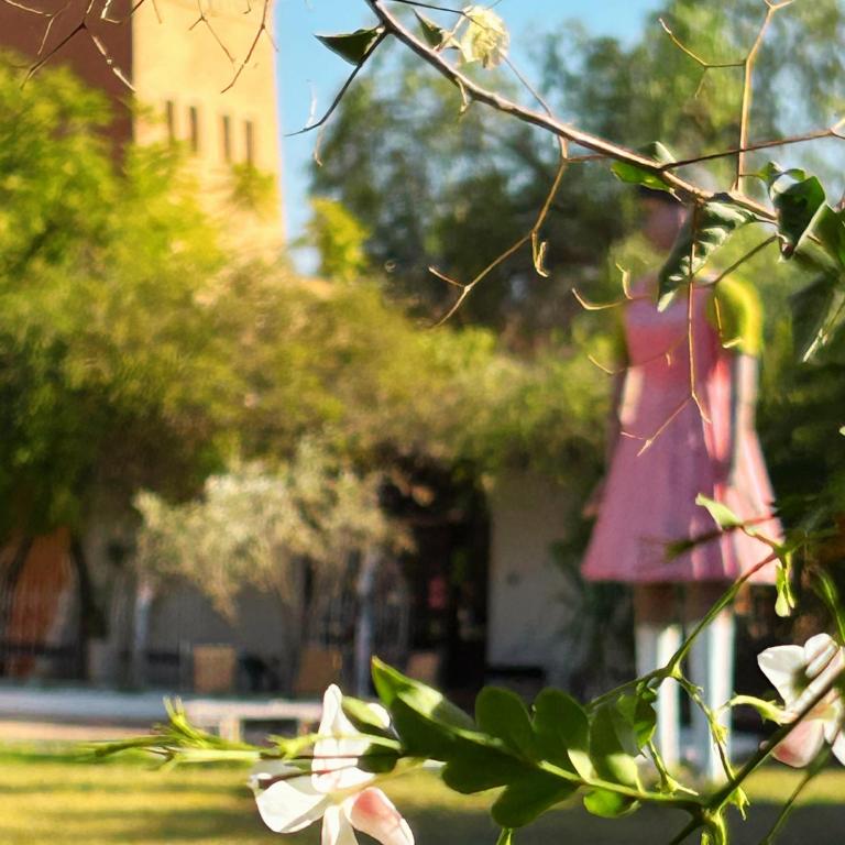 Zahrada ubytování Les Jardins D'issil