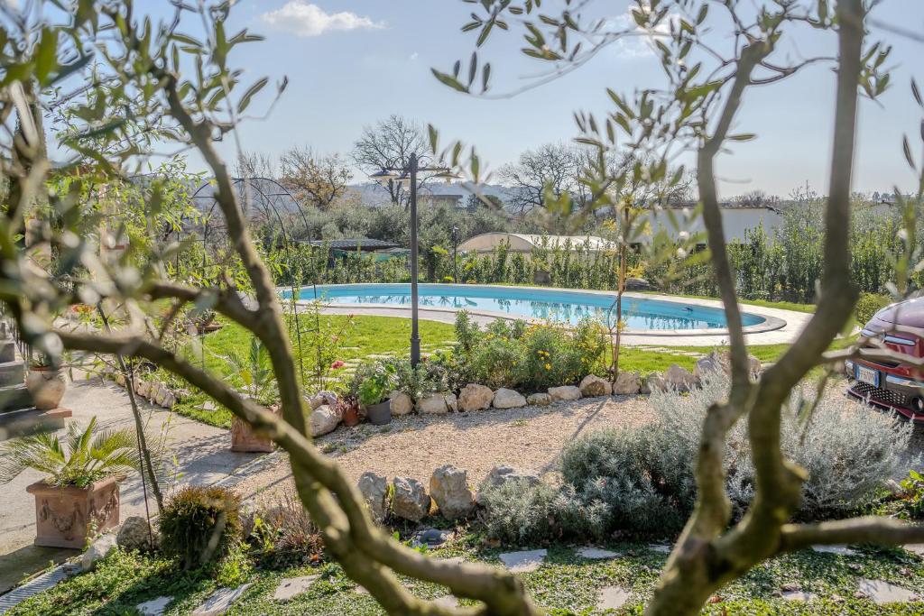 a swimming pool in a garden with trees at Casale nel Verde con Piscina e Vista in Spigno Saturnia